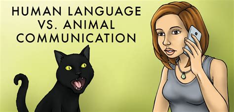 animal human communication